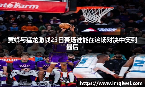 黄蜂与猛龙激战23日赛场谁能在这场对决中笑到最后