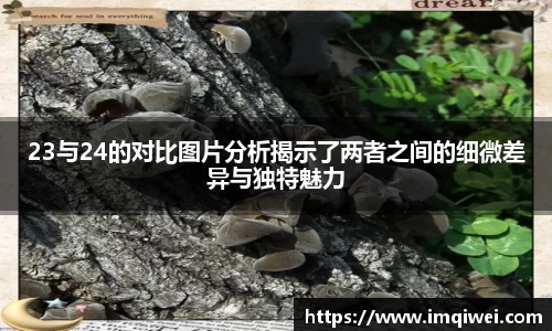 678体全网直播